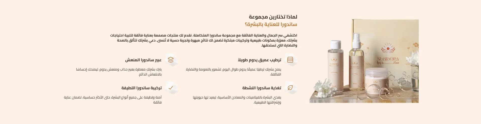معلومات عن المتجر (ساجي)