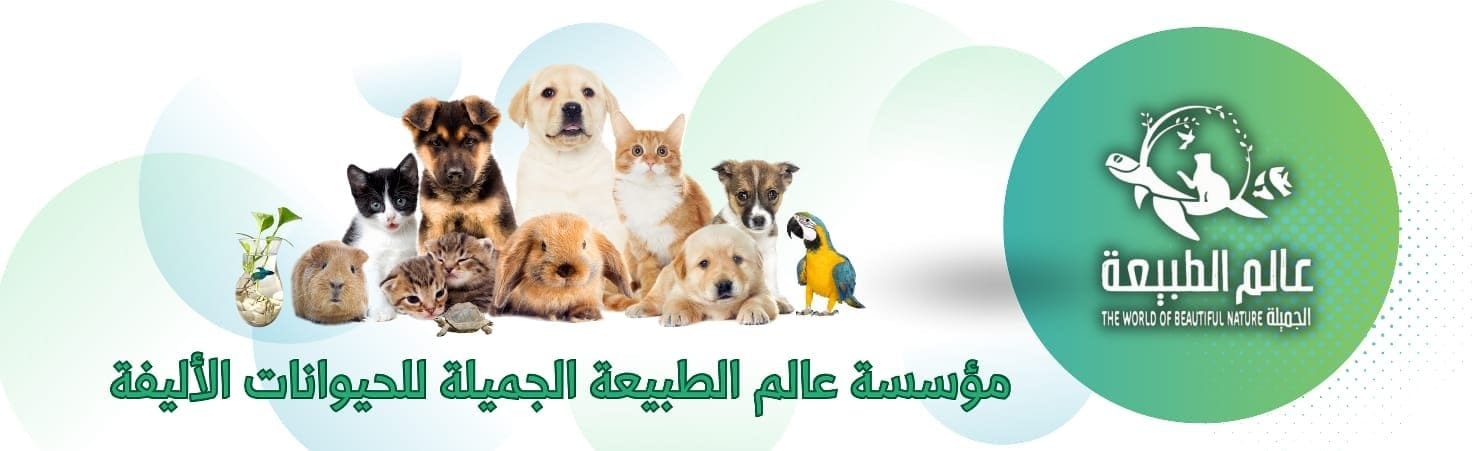 مؤسسة عالم الطبيعة الجميلة